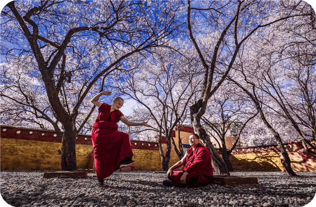Monks debating at Sera Monastery ▏hi@tibet4fun.com